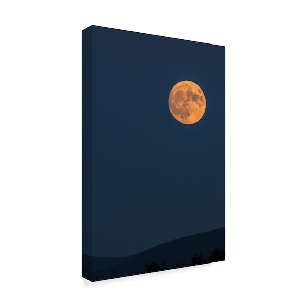 Brenda Petrella Photography Llc 'Supermoon Rise Over Ridge' Canvas Art,16x24